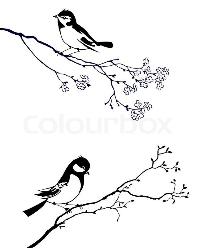 646x800 Silhouette Of The Bird On Branch Tree Stock Image Colourbox