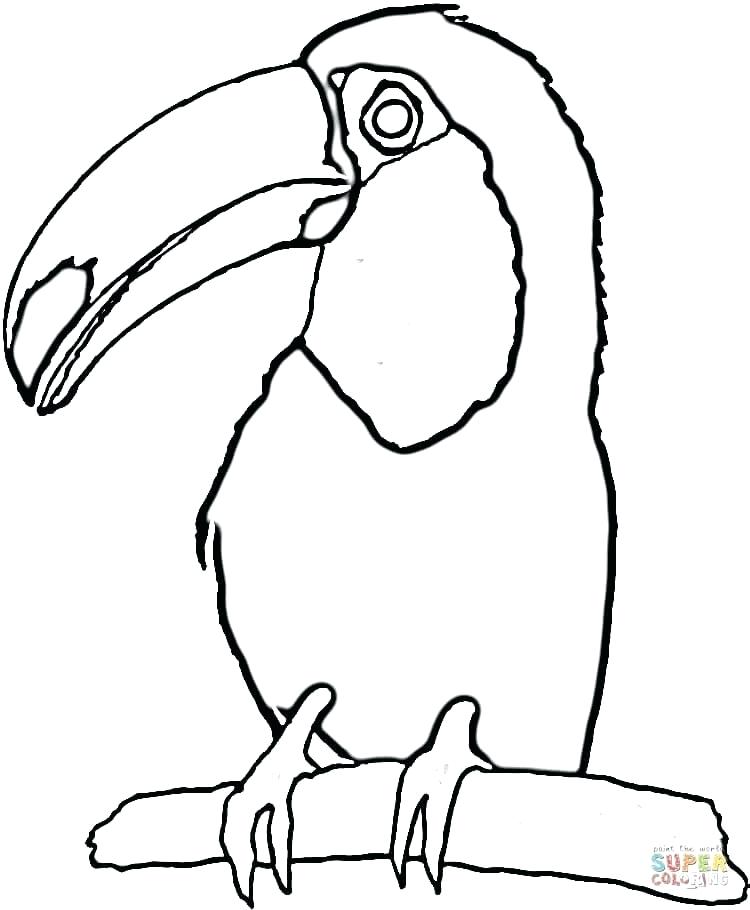 750x910 Toucan Coloring Bird On The Tree Sheet