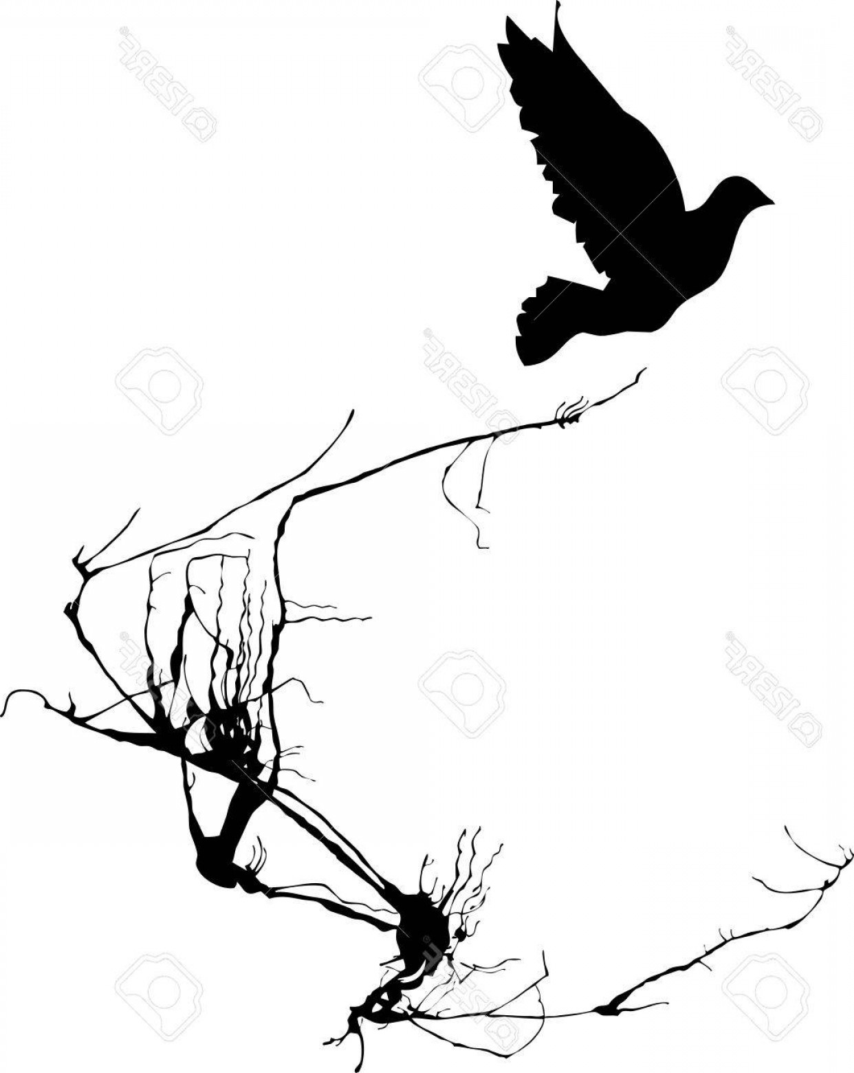 1242x1560 Vector Tree Bird Wing Hoodamathrun