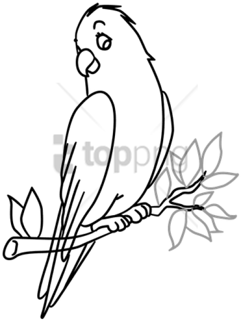 480x637 bird in a tree drawing png image with transparent background toppng