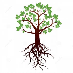 300x300 Best Free Hand Tree Roots Vector Drawing Represents Design