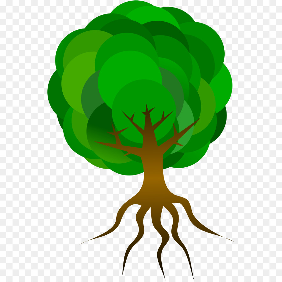900x900 Tree, Graphics, Drawing, Transparent Png Image Clipart Free Download