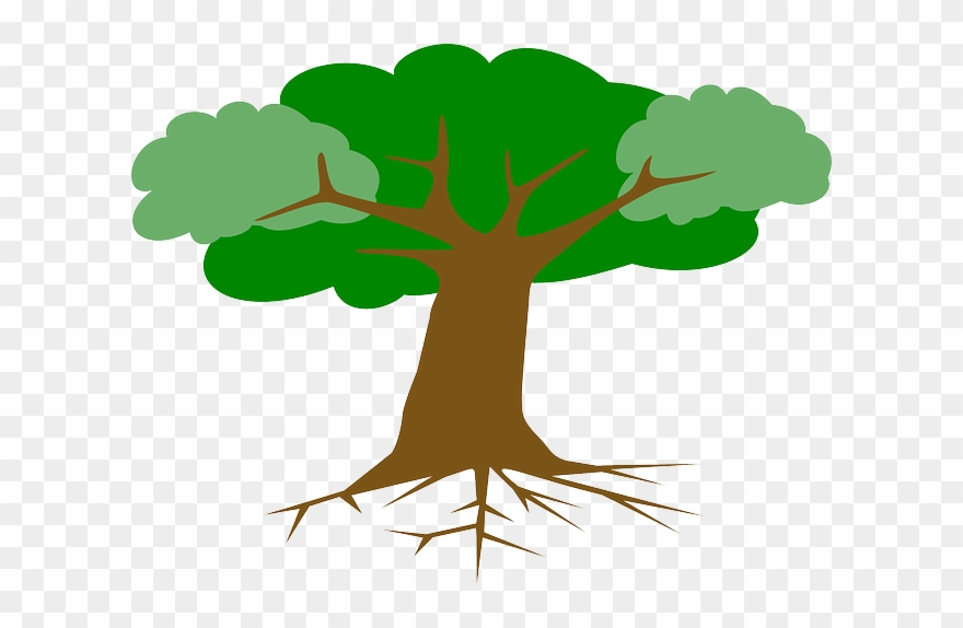 880x574 Tree, Roots, Leaves, Cross Section, Plant, Branches
