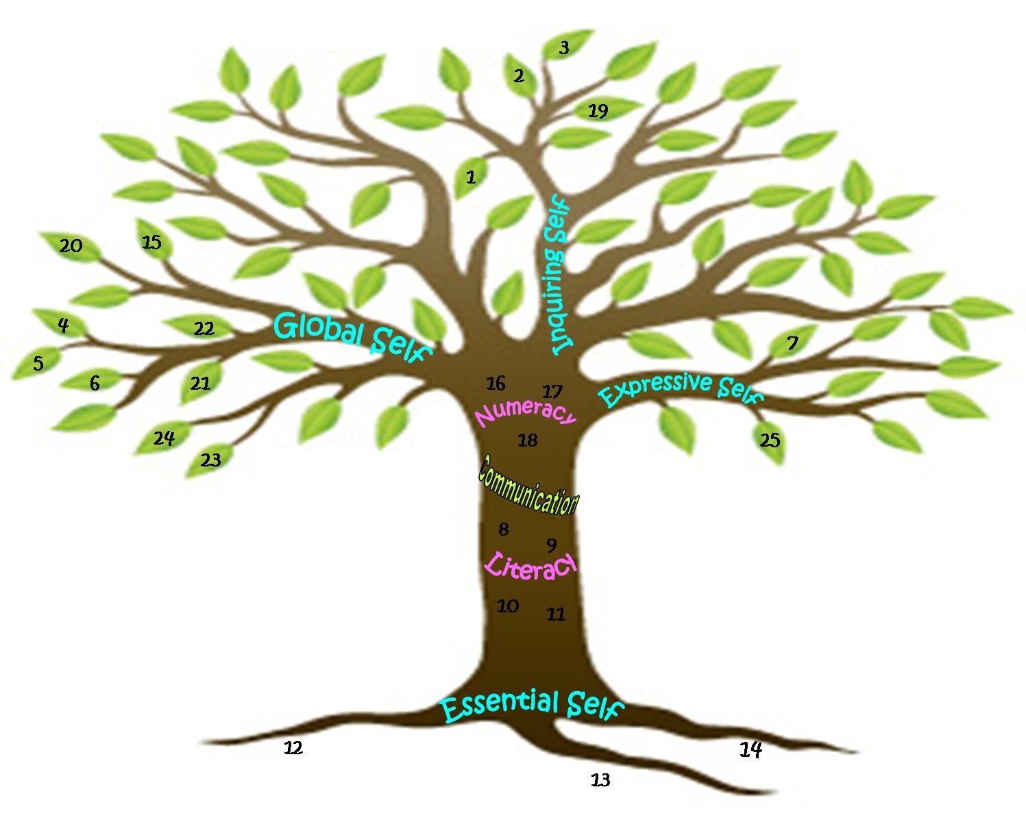 1497x1200 Tree Drawings With Roots Maribyrnong Primary School