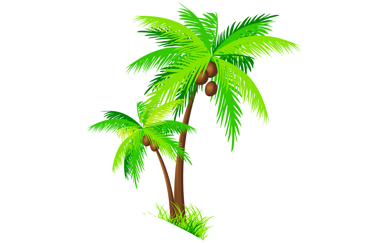 1280x800 Collection Of Free Roots Drawing Coconut Tree Download On Ui Ex