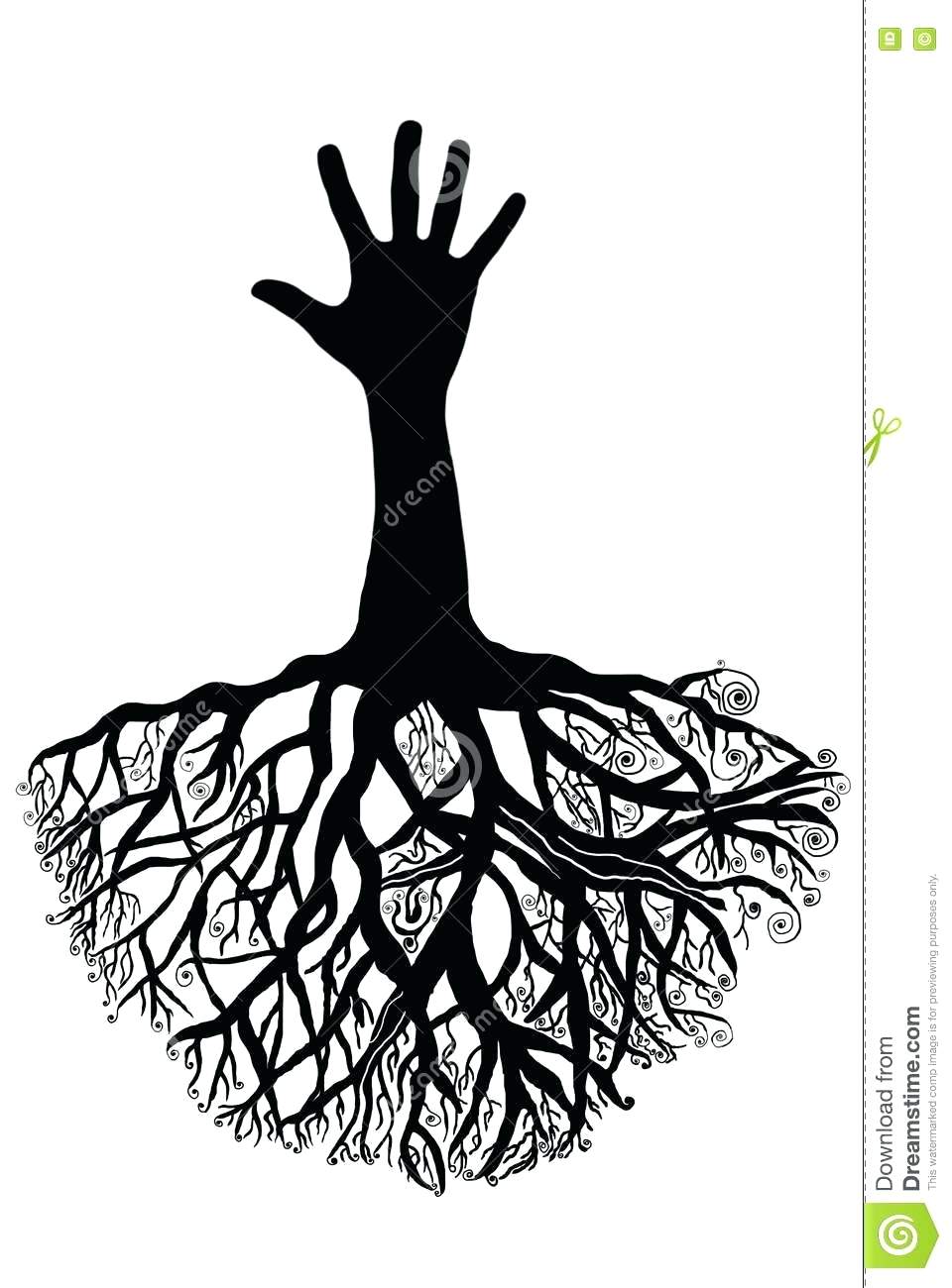 960x1300 Tree Roots Drawing Nevergo Club