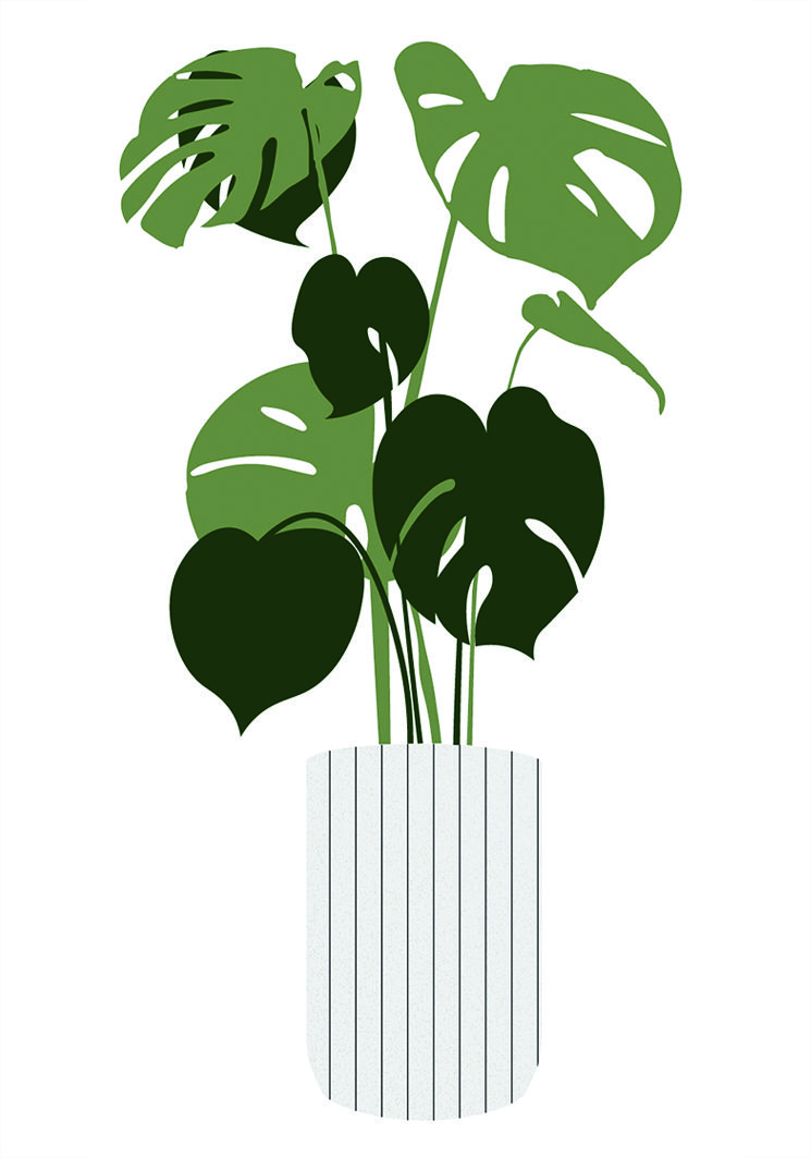 745x1063 Interior Potted Plants Vector For Architecture