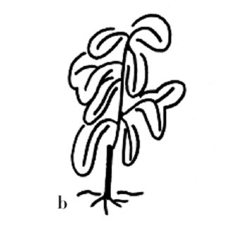 320x320 parent tree architecture composed of a trunk and the fruit bearing