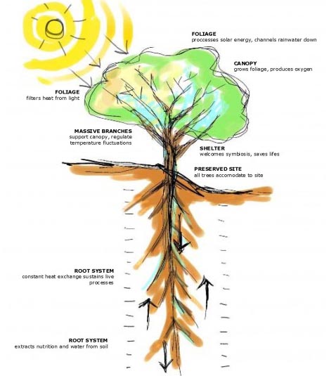 468x535 Tree Inspired House Has Green Canopy Geothermal Roots Designs