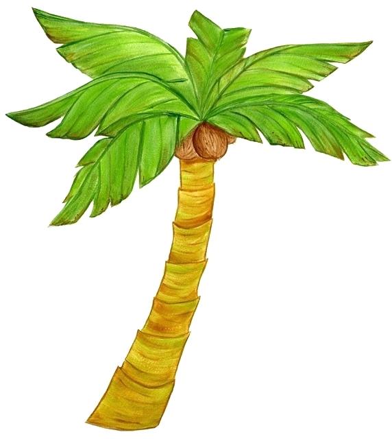 572x640 palm tree drawings palm tree images palm tree draw something