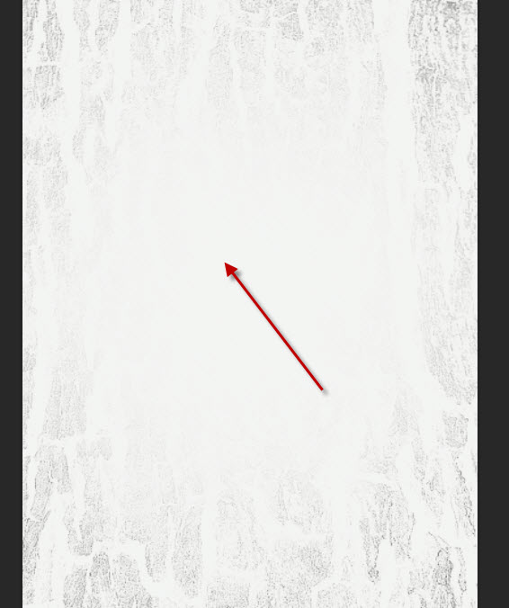 566x676 Create Abstract Photo Manipulation With Tree Bark Texture