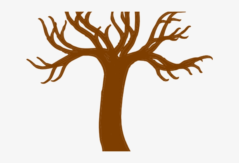 820x560 Stem Clipart Tree Bark