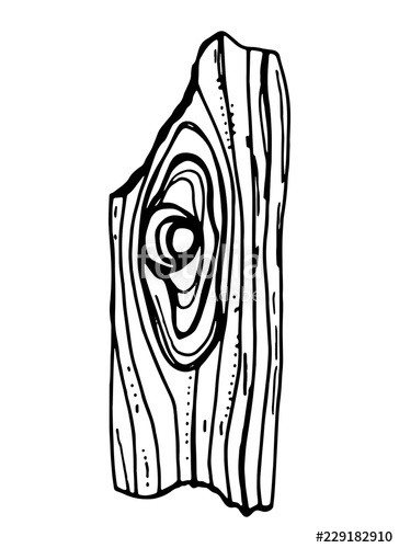 364x500 wood plank texture vector isolated stock image and royalty free