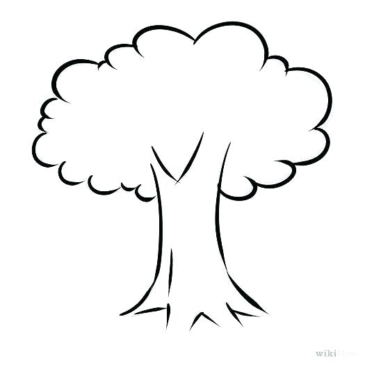 525x525 How To Draw A Tree Branch Draw Tree Branches