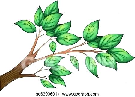 450x324 How To Draw A Tree With Branches Tree Branch Drawing How To Draw