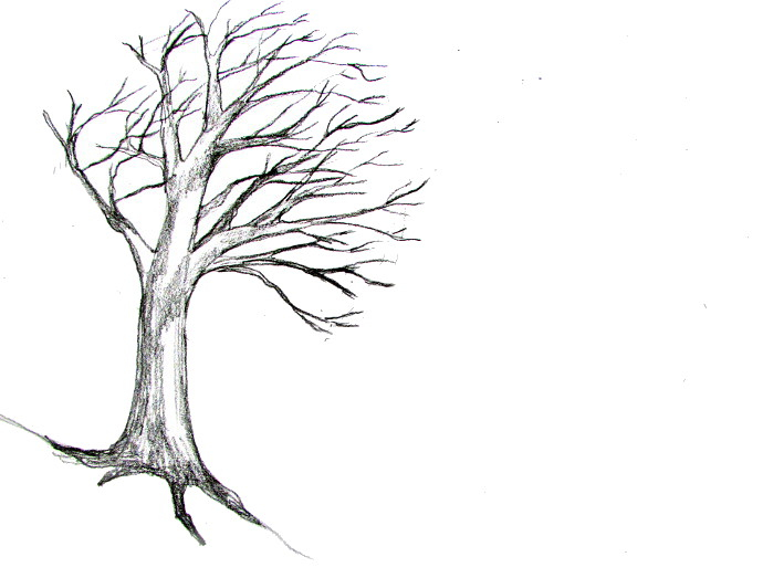 690x523 Latest Tree Branchsavannah Bertozzi Tree Branch Digital Art