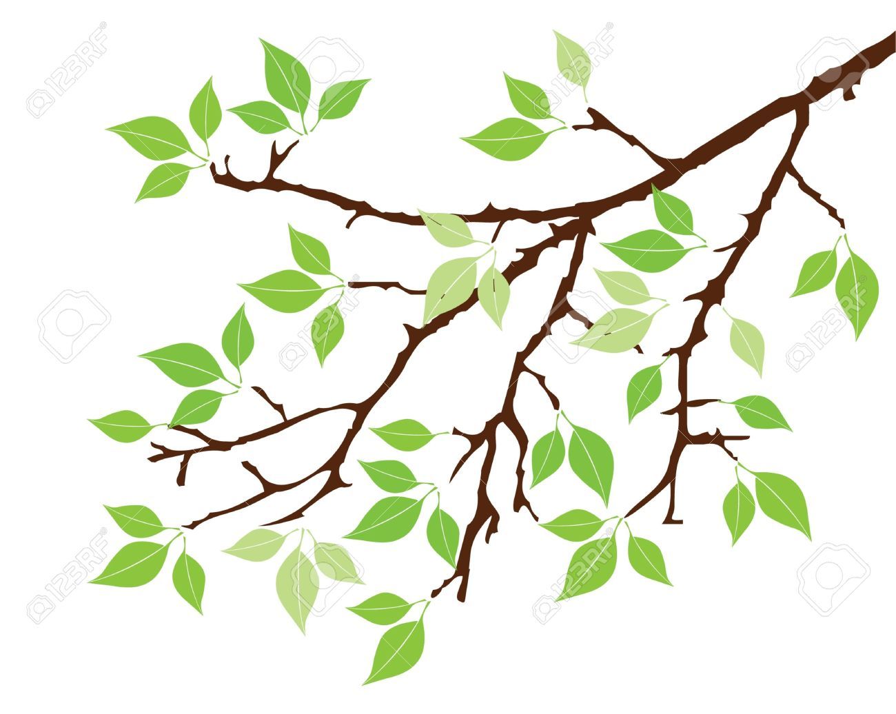 1300x1036 Vector Tree Branch With Leaves Clip Art Vector Trees, Leaf