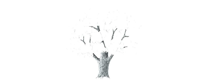 850x346 How To Draw Branches Hoteles