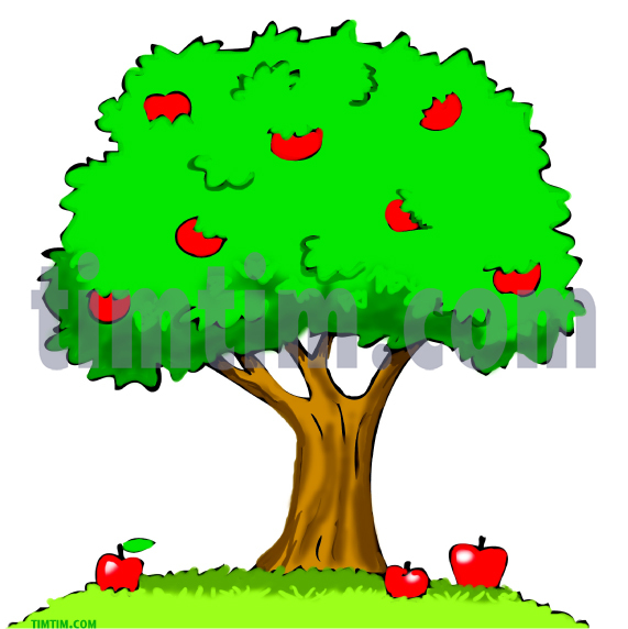 571x572 Free Drawing Of An Apple Tree From The Category Climate Nature