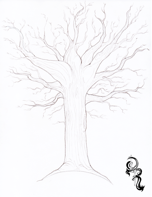 500x650 Color Drawing Tree For Free Download