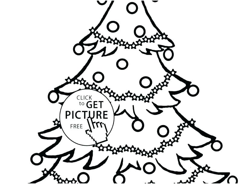 827x609 Christmas Tree Color