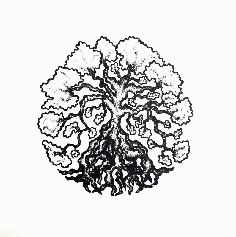 794x795 Cotton Tree Pen And Ink Drawing Print Original Design Art Etsy