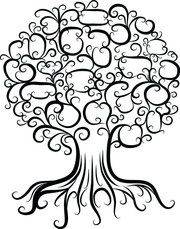 630x800 Family Tree Free Drawing Of A Tool Newbloc
