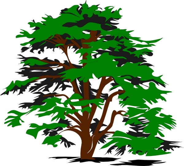 600x543 Simple Tree Clip Art Free Vector In Open Office Drawing