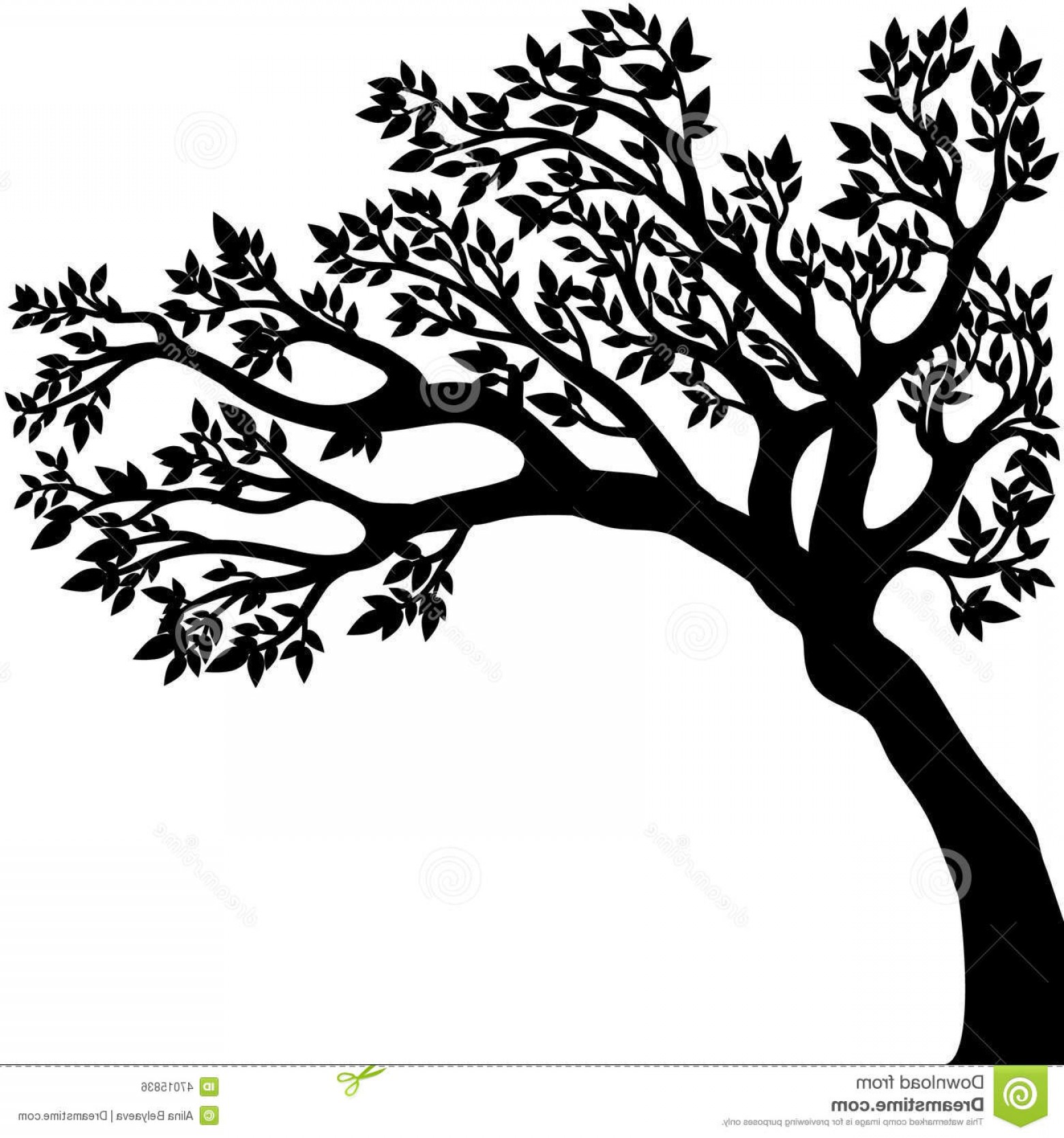 1560x1668 Tree Drawing Vector Soidergi