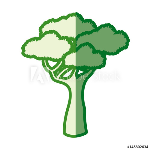 500x500 Drawing Tree Natural Plant Design Image Vector Illustration