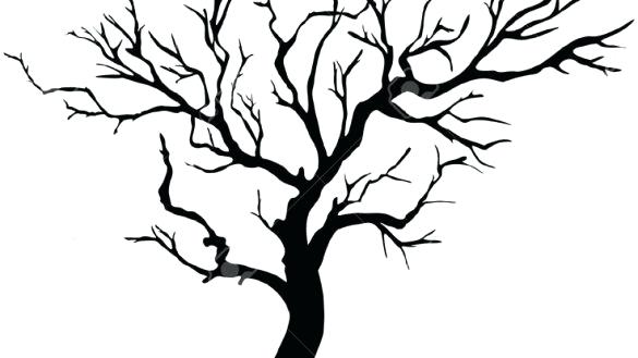 585x329 Tree Outline Drawing