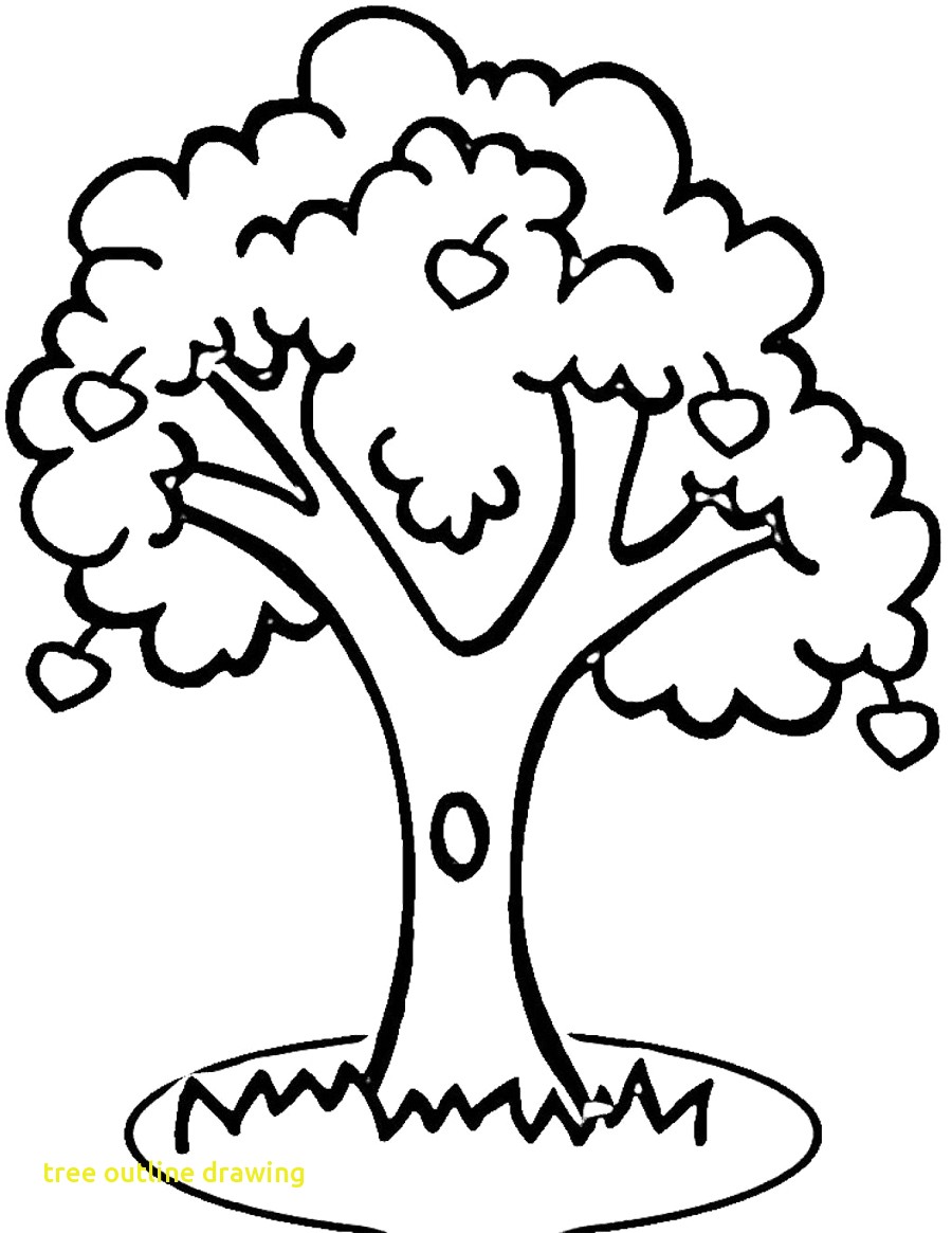 900x1165 Outline Of A Tree Drawing Free Download Clip Art
