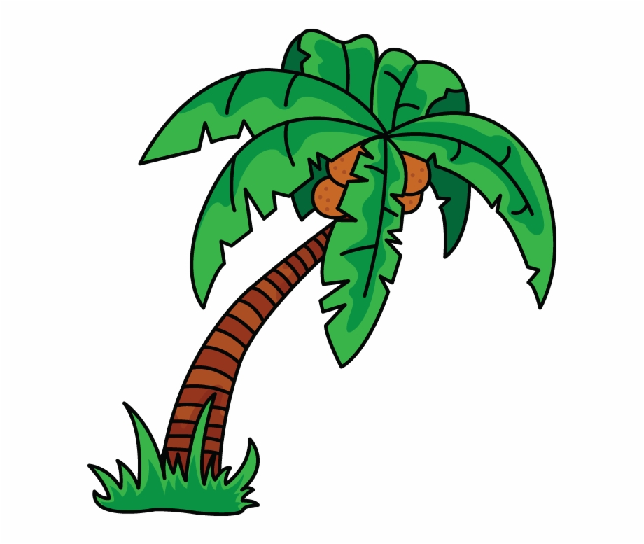 920x777 Scarce Palm Tree Drawing How To Draw A Easy Step