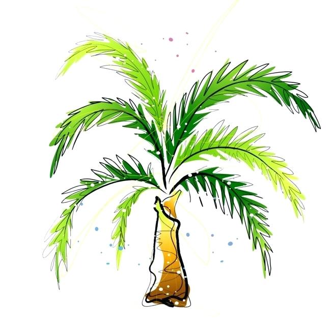 650x651 Drawing A Palm Tree