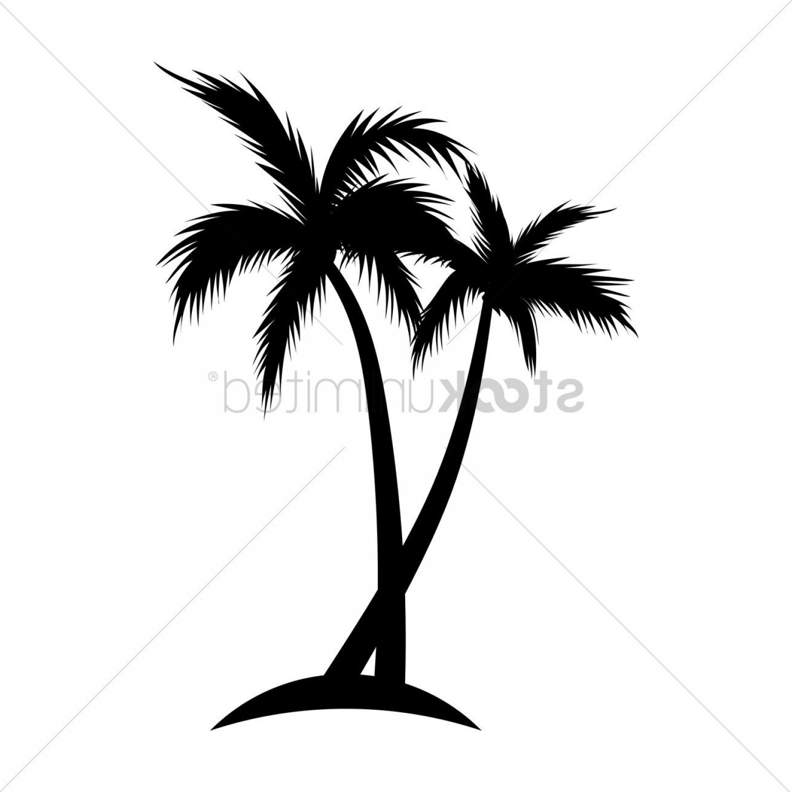 1560x1560 Huge Collection Of 'coconut Tree Drawing' Download More Than