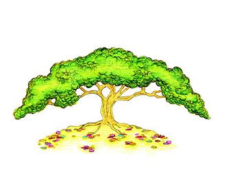 340x270 Tree Drawing Etsy