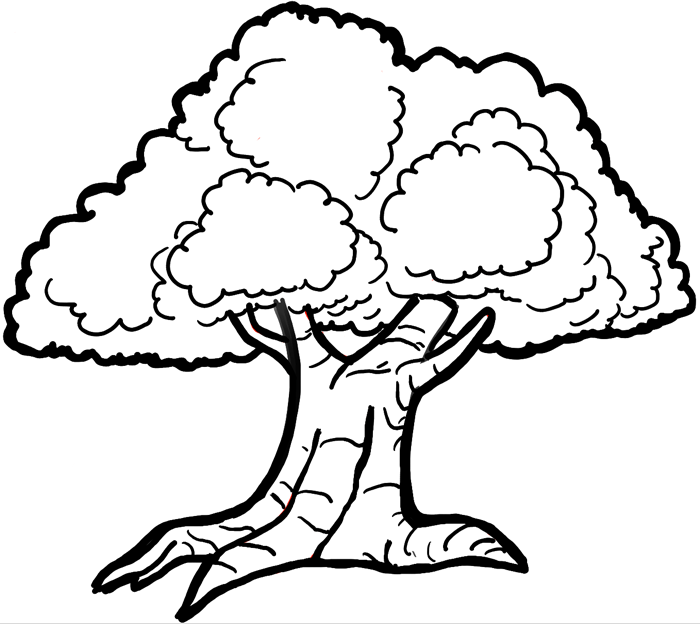 700x624 How To Draw Cartoon Trees With Easy Step