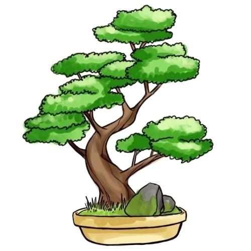 500x500 Simple Drawing Of A Tree Picture Of Trees Coloring Pages Simple