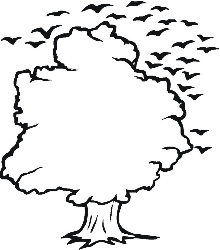 899x1024 Energy Outline Pictures Of Trees Free Outlines Download Clip Art