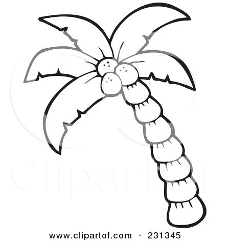 450x470 Easy Palm Tree Easy Cut Out Palm Tree Easy Indoor Palm Trees