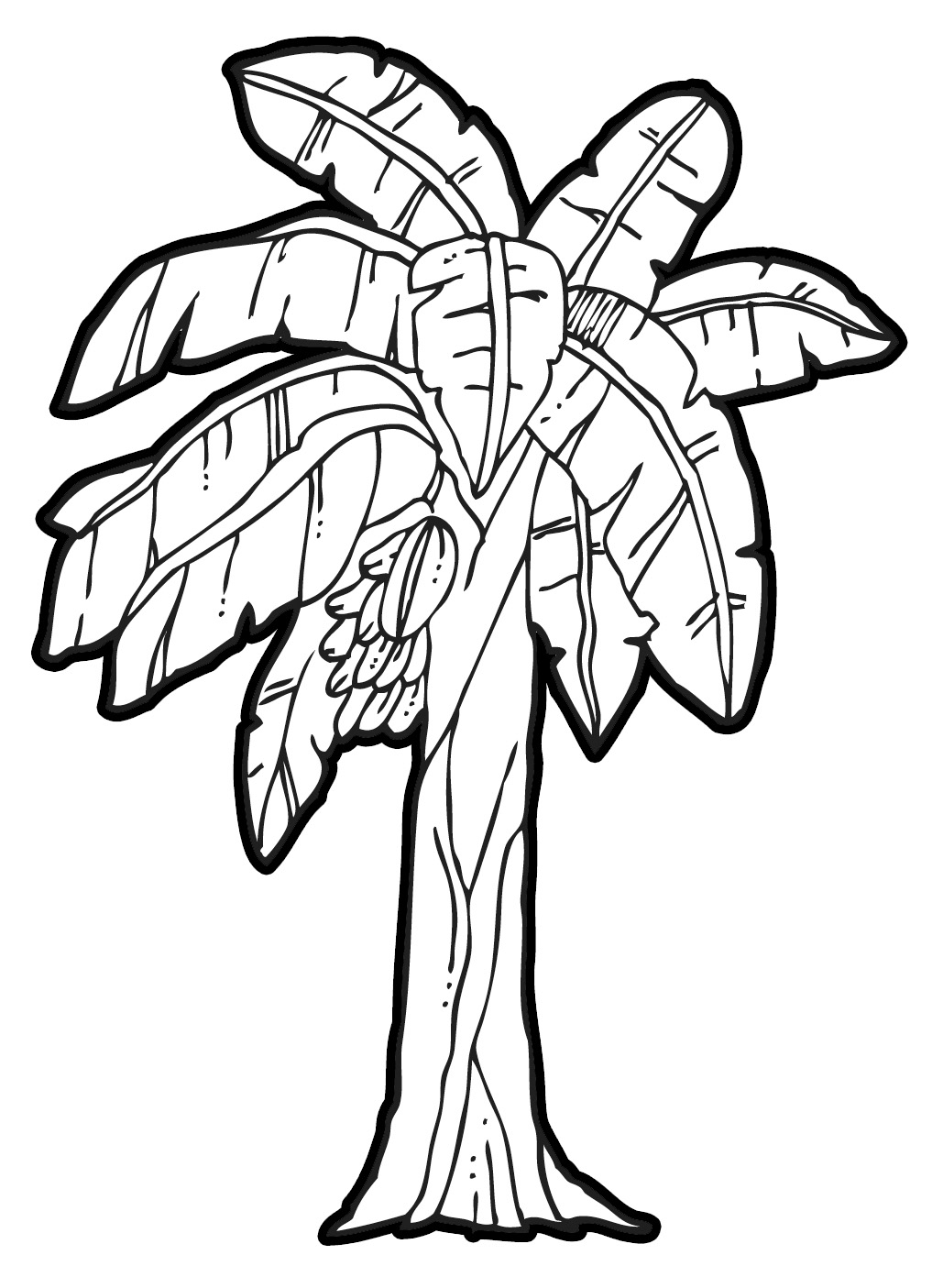 1029x1405 Banana Tree Drawing Step