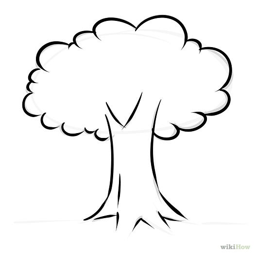 525x525 How To Draw A Tree Easy Oralchroma Us