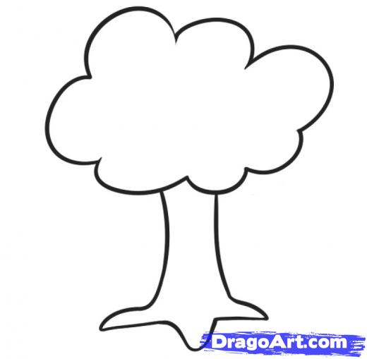 520x509 Step How To Draw A Tree For Kids