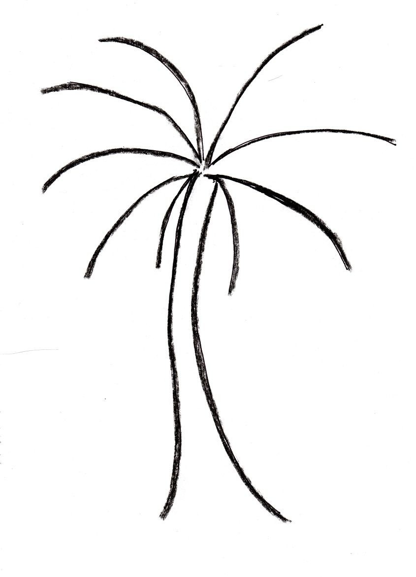 845x1171 Palm Tree Drawing