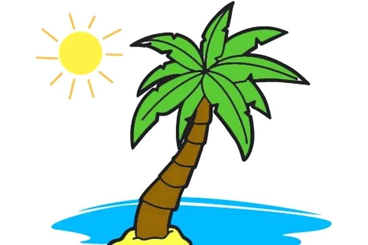 750x500 plam tree drawing