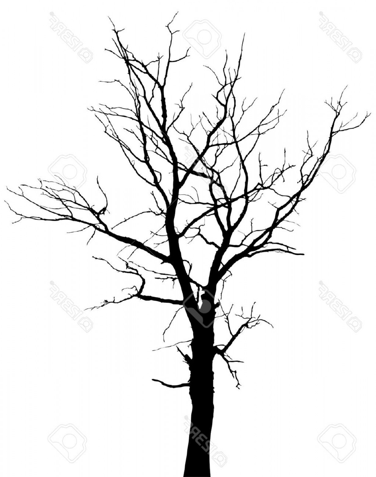 1231x1560 Tree Clip Art Black And White No Leaves