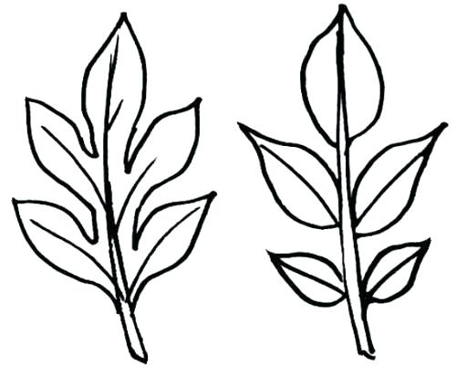 500x412 Turkey Drawing Template Printable Tree With Leaves Palm Leaf Free