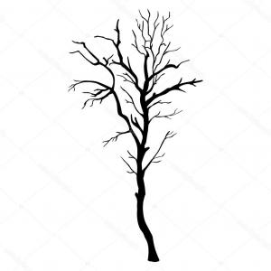 300x300 Vector Bare Tree Silhouettes Black Stylized Trees Without Leaves