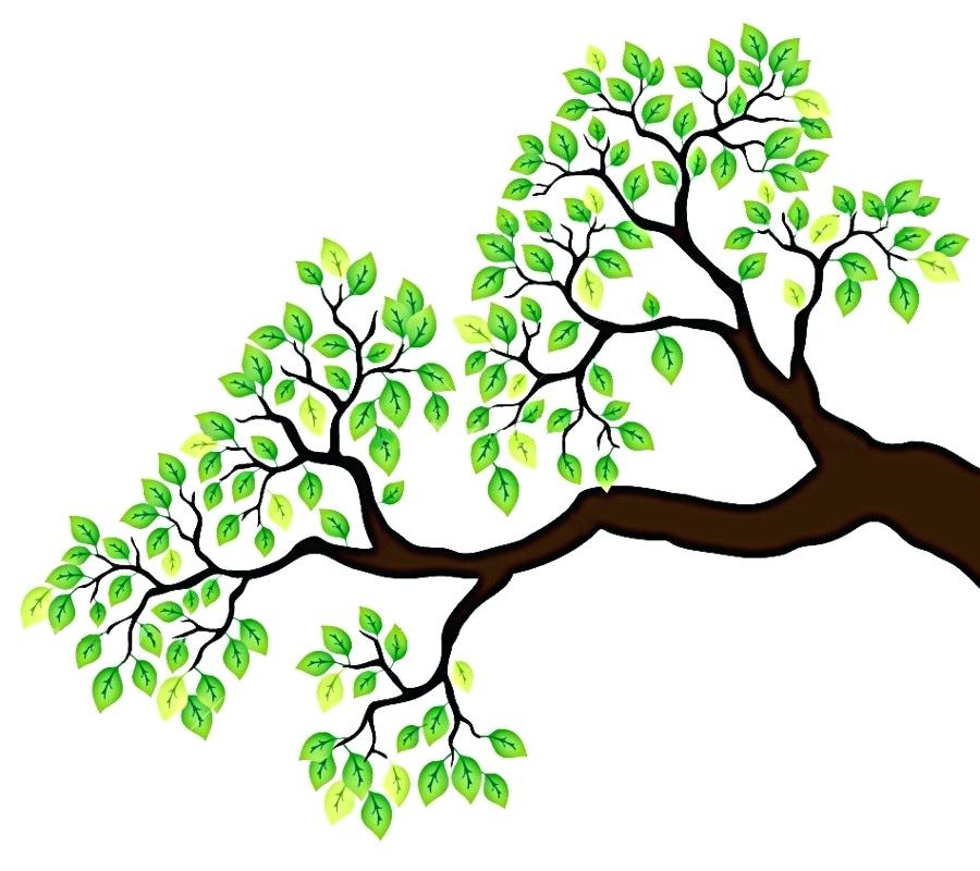 Tree Drawing No Leaves | Free download on ClipArtMag