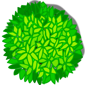 340x340 Oak Clipart Tree Top, Picture